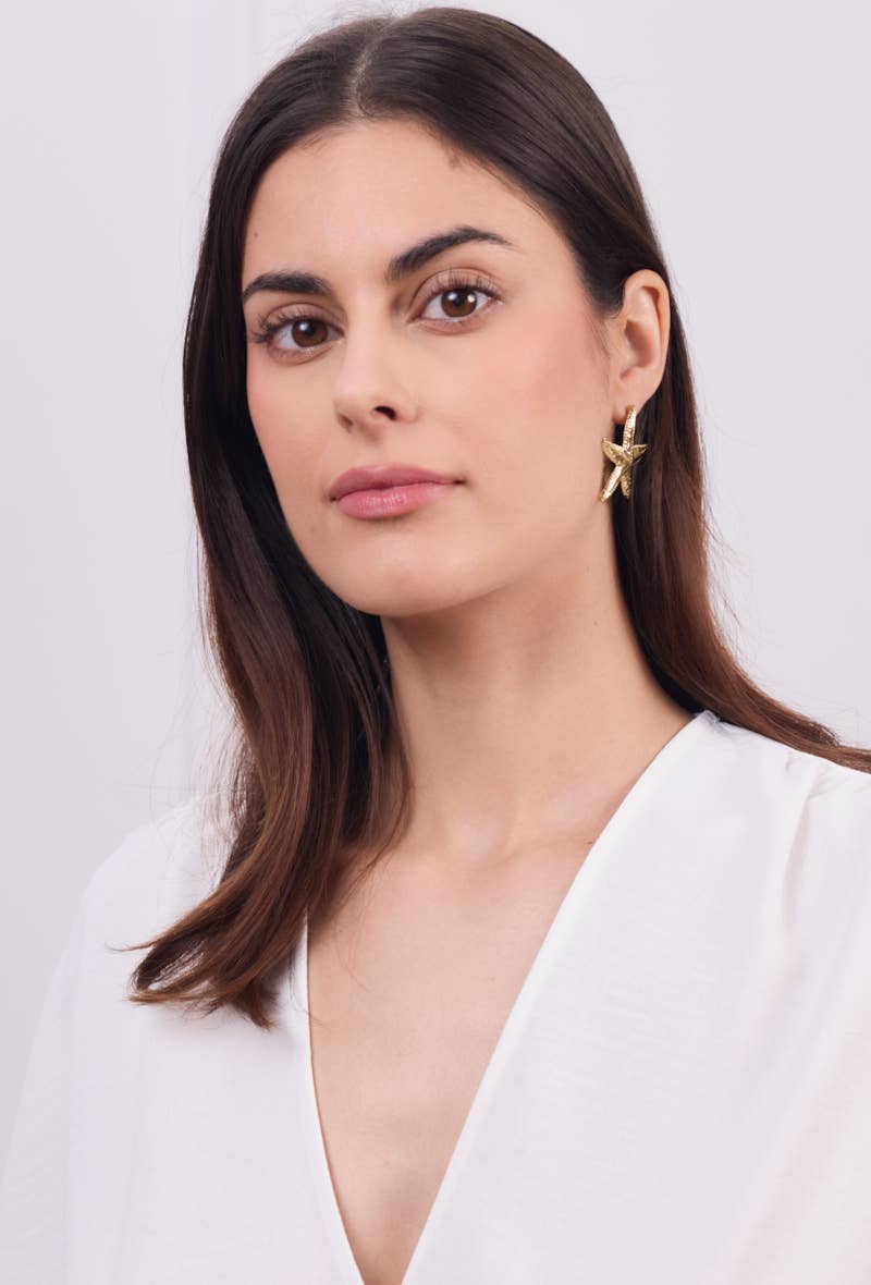 Boucles d'oreilles étoile en acier inoxydable 124AQ387