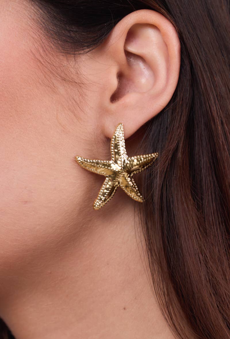 Boucles d'oreilles étoile en acier inoxydable 124AQ387