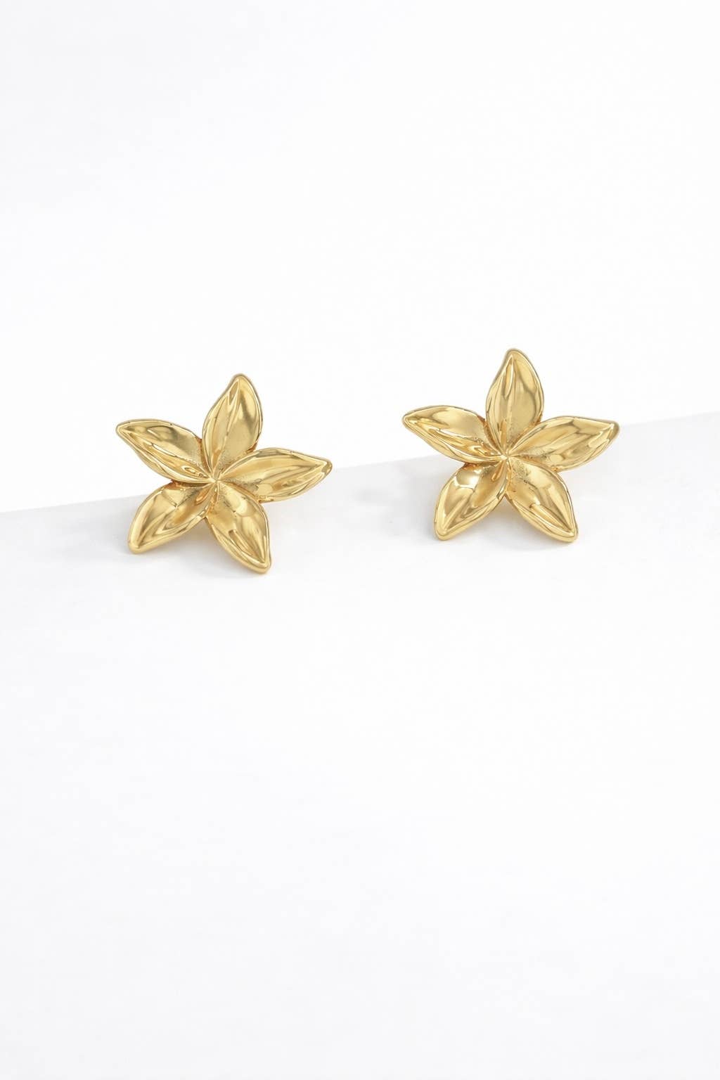 Boucles d'oreilles en acier inoxydable 124AQ270N