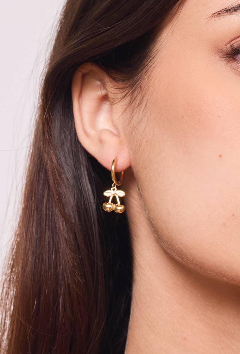 Boucles d'oreille en acier inoxydable 124AQ393