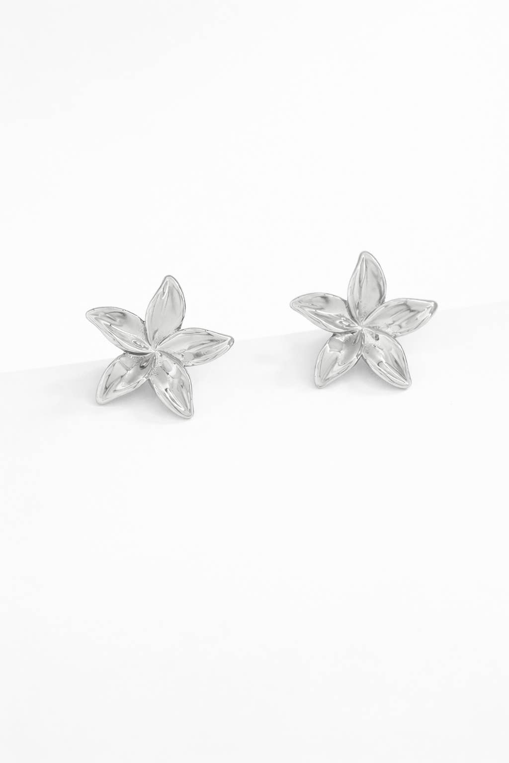 Boucles d'oreilles en acier inoxydable 124AQ270N