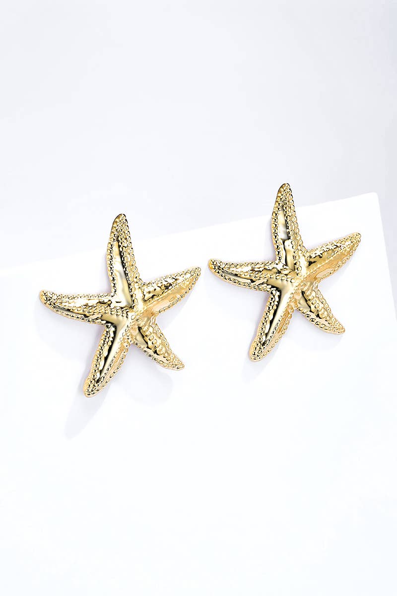 Boucles d'oreilles étoile en acier inoxydable 124AQ387