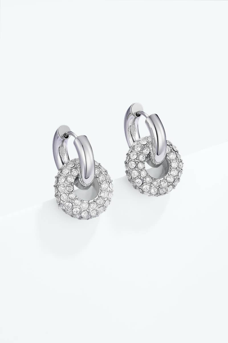 Boucles d'oreille en acier inoxydable 124AQ737