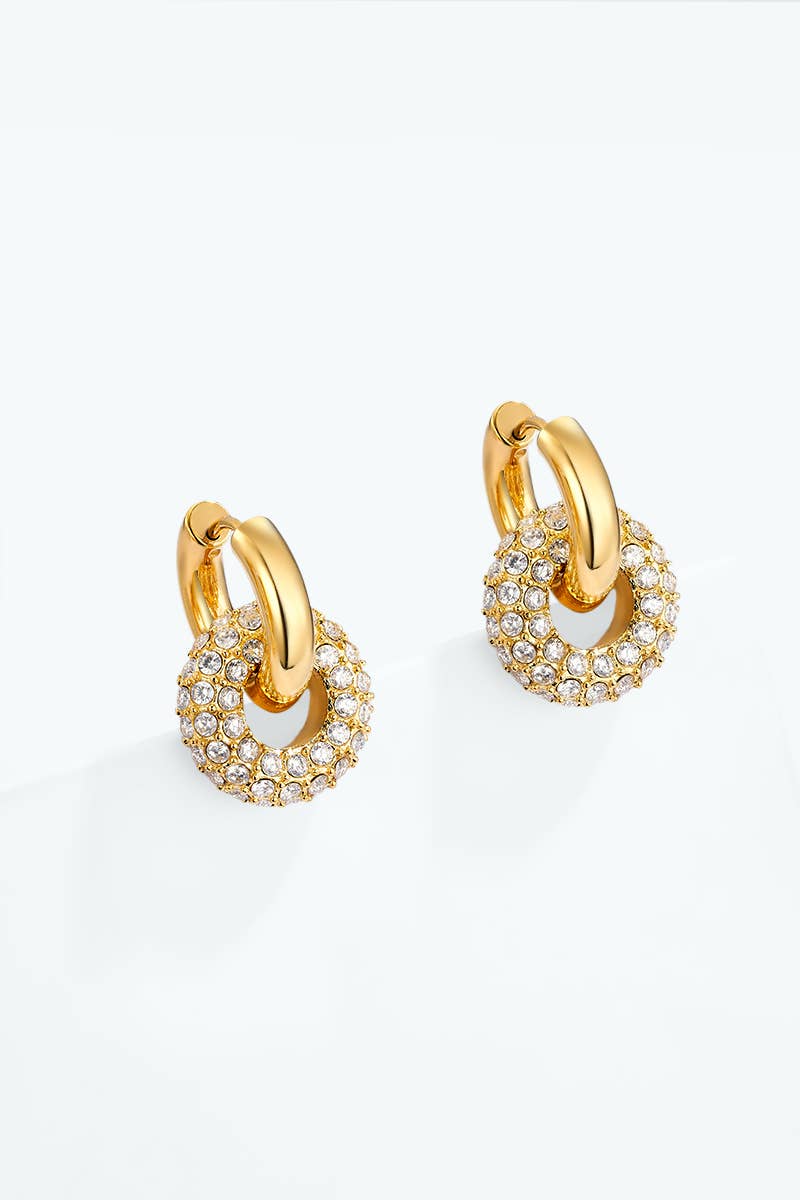 Boucles d'oreille en acier inoxydable 124AQ737