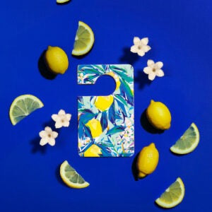 Parfum voiture Blue Ginger
