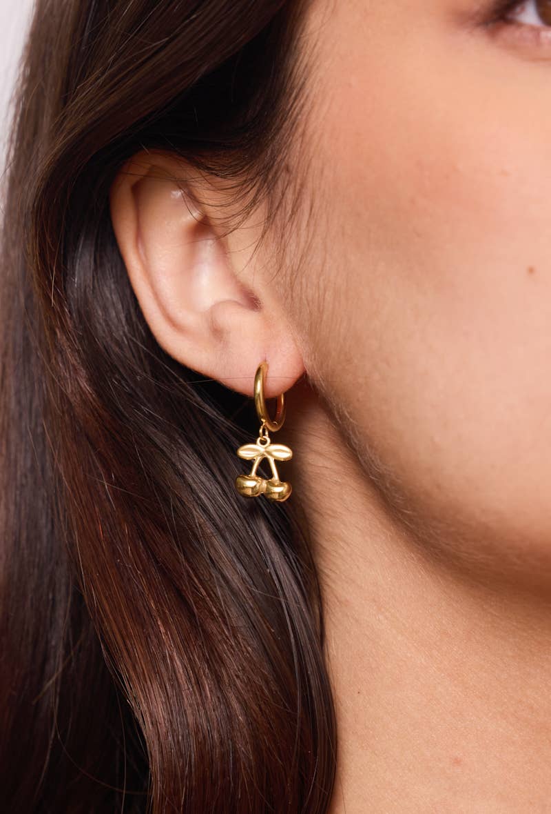 Boucles d'oreille en acier inoxydable 124AQ393